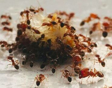 Artículo sobre servicios de La Make SpA