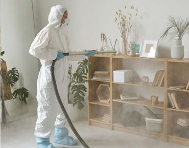 Artículo sobre prevención de plagas