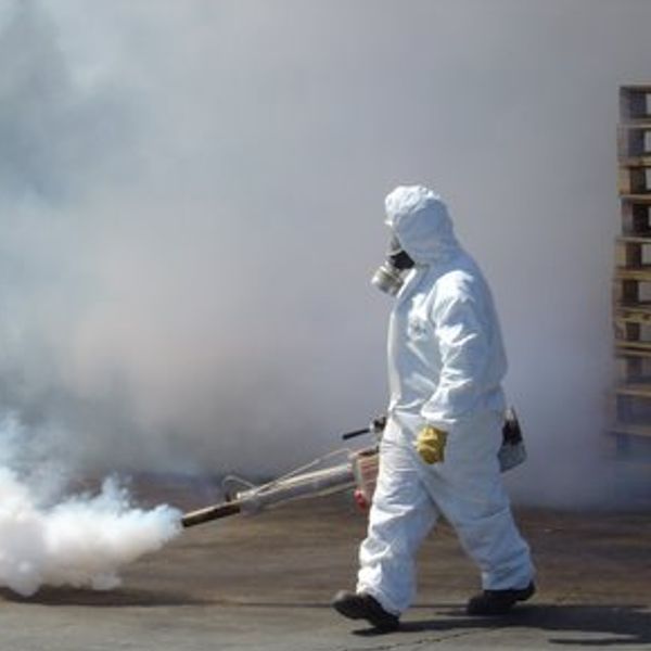 Aplicación insecticida