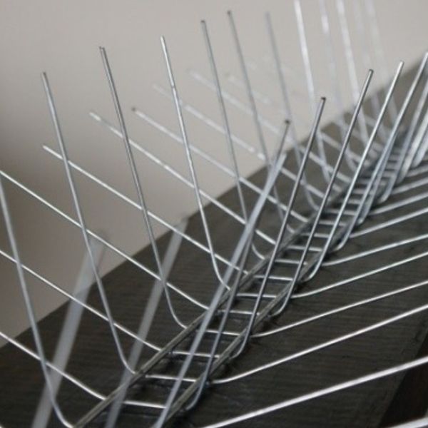 Instalación de pinchos, repelentes de palomas